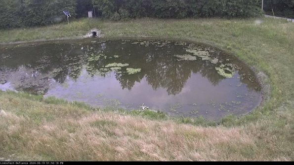 Basin Right_24-06-19_13-56-19-36