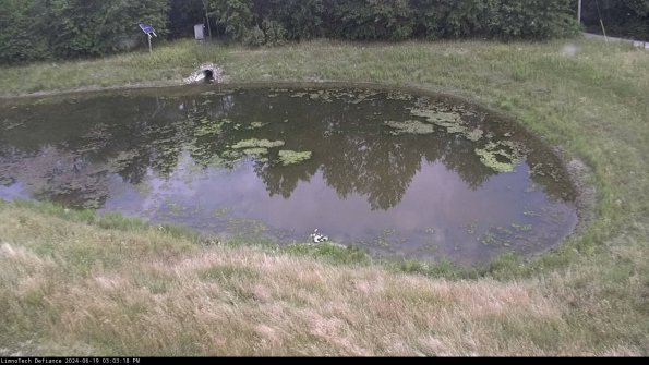 Basin Right_24-06-19_15-03-19-36