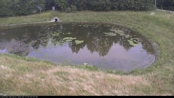 Basin Right_24-06-19_16-43-46-34