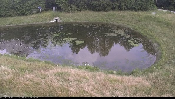 Basin Right_24-06-19_17-50-47-34