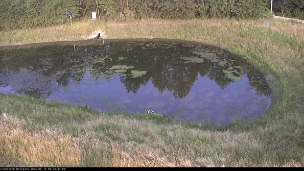 Basin Right_24-06-19_20-04-44-34