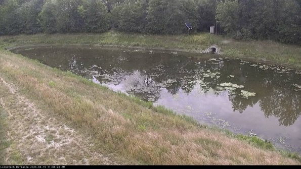 Basin_24-06-19_11-08-20-51