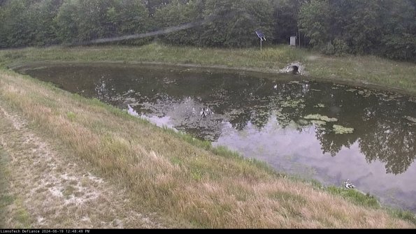 Basin_24-06-19_12-48-49-50