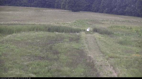 Cell 1 to 2_24-06-19_07-12-08-33