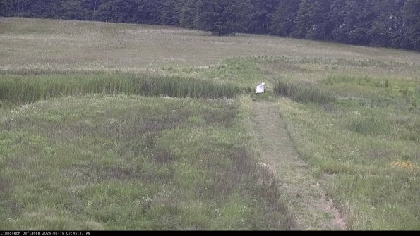 Cell 1 to 2_24-06-19_07-45-38-35