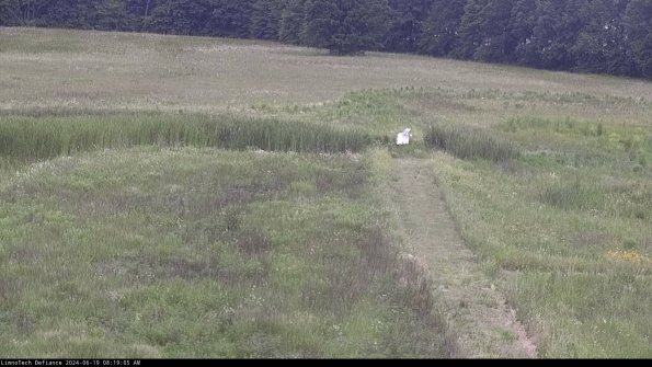 Cell 1 to 2_24-06-19_08-19-06-34