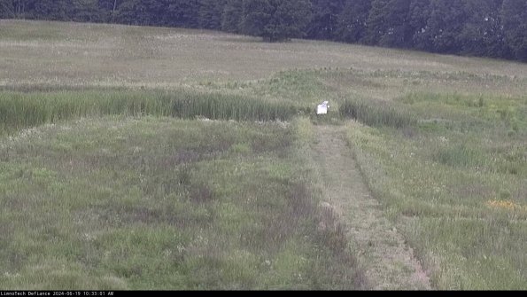 Cell 1 to 2_24-06-19_10-33-02-32