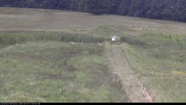 Cell 1 to 2_24-06-19_11-06-30-34