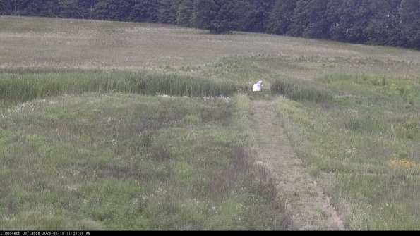 Cell 1 to 2_24-06-19_11-39-59-35