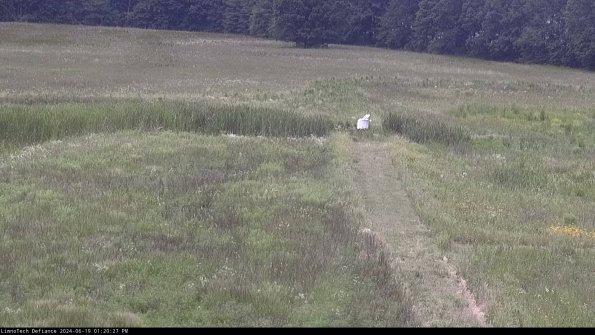 Cell 1 to 2_24-06-19_13-20-28-34