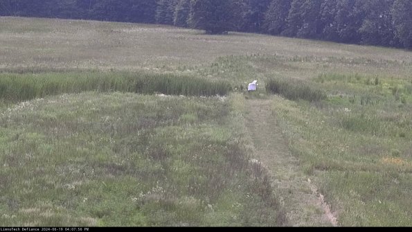 Cell 1 to 2_24-06-19_16-07-57-35