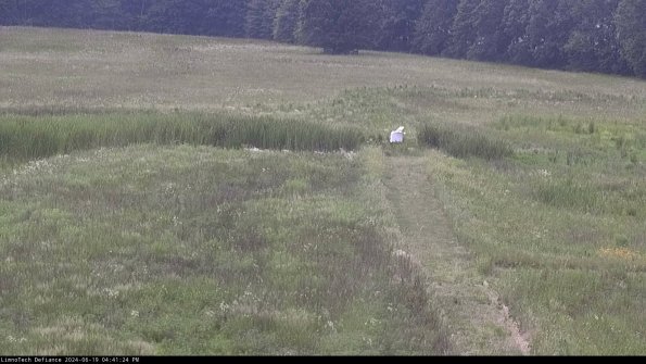 Cell 1 to 2_24-06-19_16-41-25-33