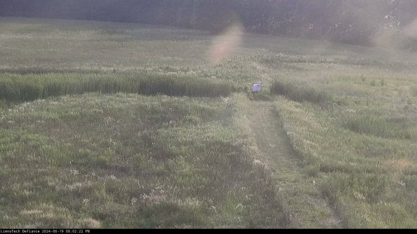 Cell 1 to 2_24-06-19_20-02-23-33