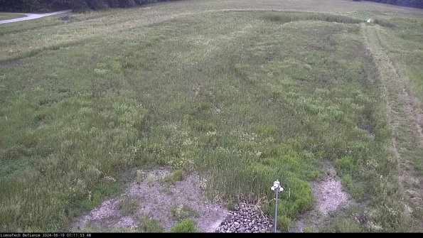 Cell 1_24-06-19_07-11-54-35