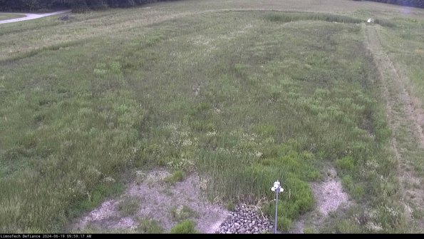 Cell 1_24-06-19_09-59-18-32