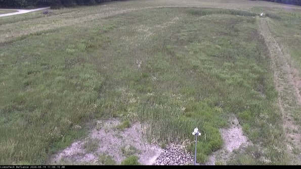 Cell 1_24-06-19_11-06-16-32