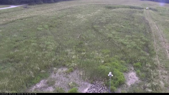 Cell 1_24-06-19_15-34-13-35