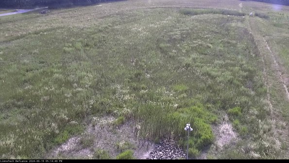 Cell 1_24-06-19_17-14-41-33