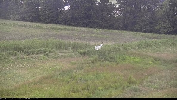 Cell 2 to 3_24-06-19_07-12-34-52