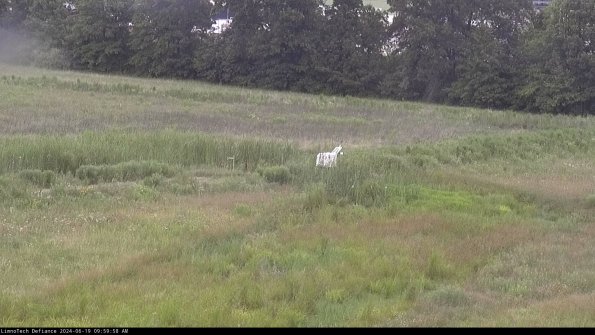 Cell 2 to 3_24-06-19_09-59-58-53