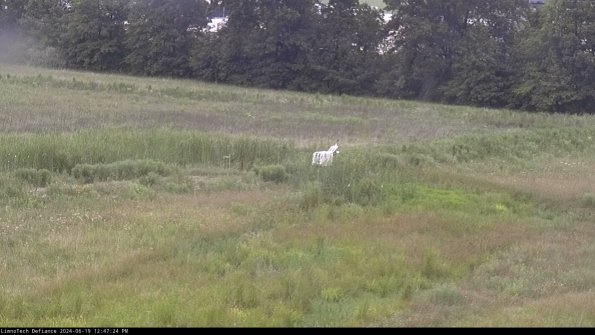 Cell 2 to 3_24-06-19_12-47-24-48