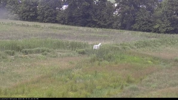 Cell 2 to 3_24-06-19_13-20-54-50