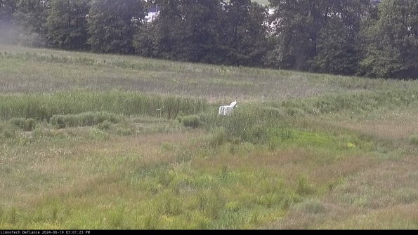 Cell 2 to 3_24-06-19_15-01-24-41