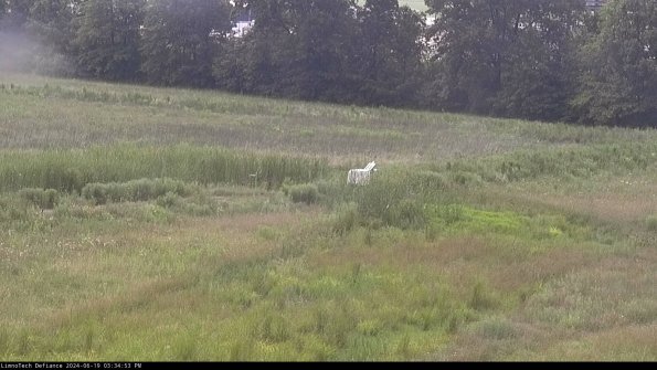 Cell 2 to 3_24-06-19_15-34-53-59