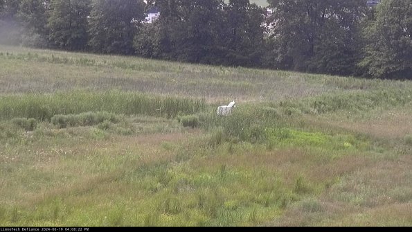 Cell 2 to 3_24-06-19_16-08-23-44