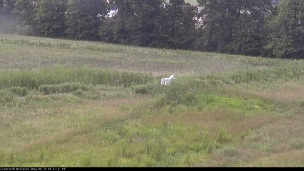 Cell 2 to 3_24-06-19_16-41-51-56