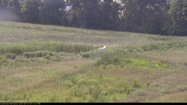 Cell 2 to 3_24-06-19_17-15-21-47