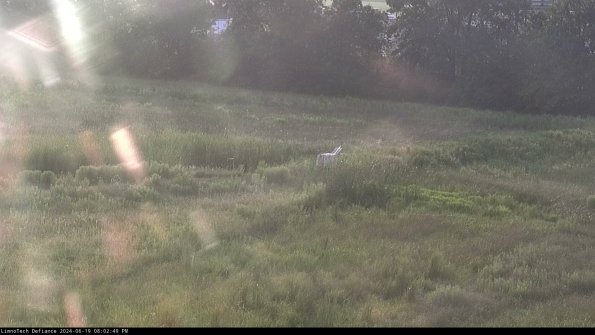 Cell 2 to 3_24-06-19_20-02-49-53