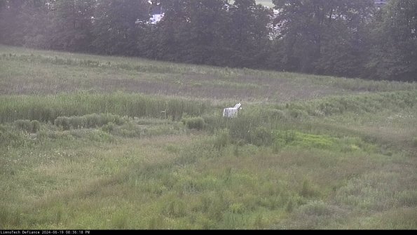 Cell 2 to 3_24-06-19_20-36-18-51