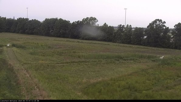 Cell 2_24-06-19_07-12-21-41