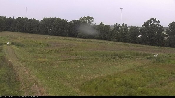 Cell 2_24-06-19_07-45-51-36