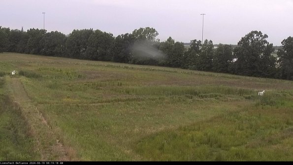 Cell 2_24-06-19_08-19-19-36