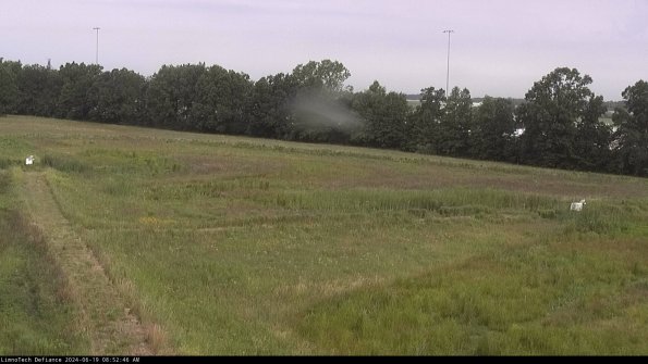 Cell 2_24-06-19_08-52-47-41