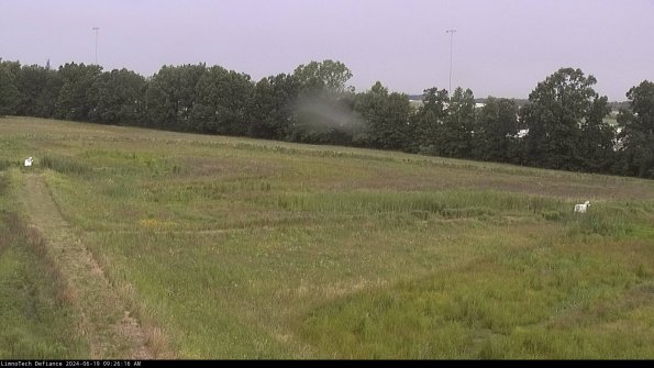 Cell 2_24-06-19_09-26-17-36