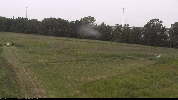 Cell 2_24-06-19_09-59-45-41