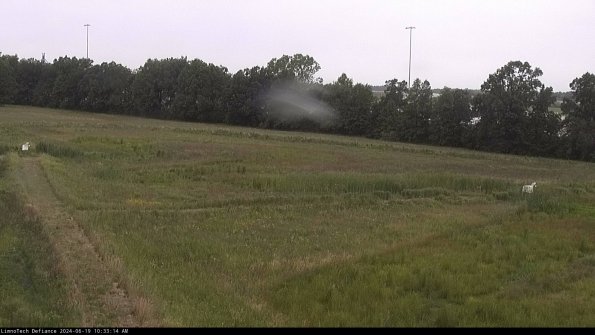 Cell 2_24-06-19_10-33-15-33