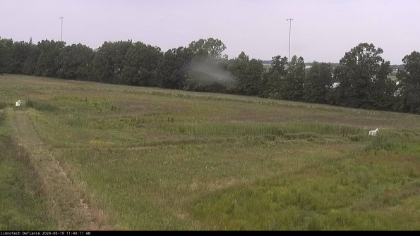 Cell 2_24-06-19_11-40-12-37