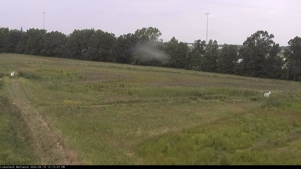 Cell 2_24-06-19_12-13-42-35