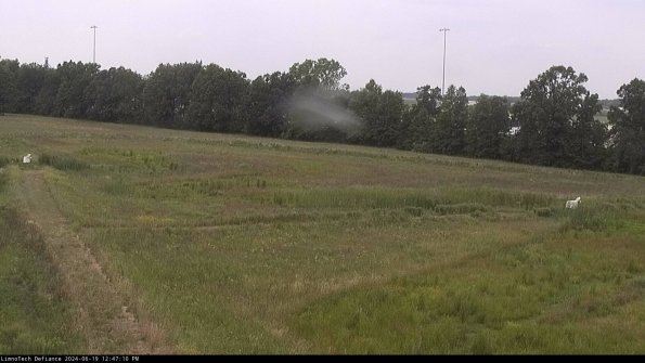 Cell 2_24-06-19_12-47-11-33