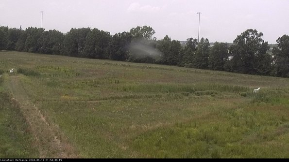 Cell 2_24-06-19_13-54-10-36