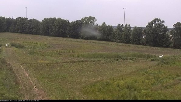 Cell 2_24-06-19_15-01-11-36