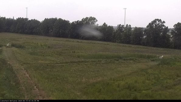 Cell 2_24-06-19_15-34-40-41