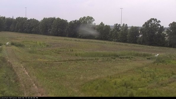 Cell 2_24-06-19_16-08-10-43