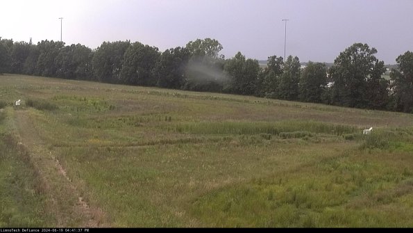 Cell 2_24-06-19_16-41-38-41