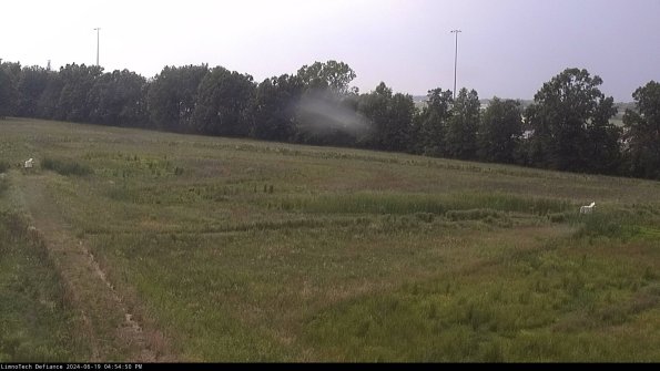 Cell 2_24-06-19_16-54-51-37