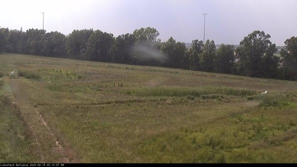 Cell 2_24-06-19_17-15-08-43